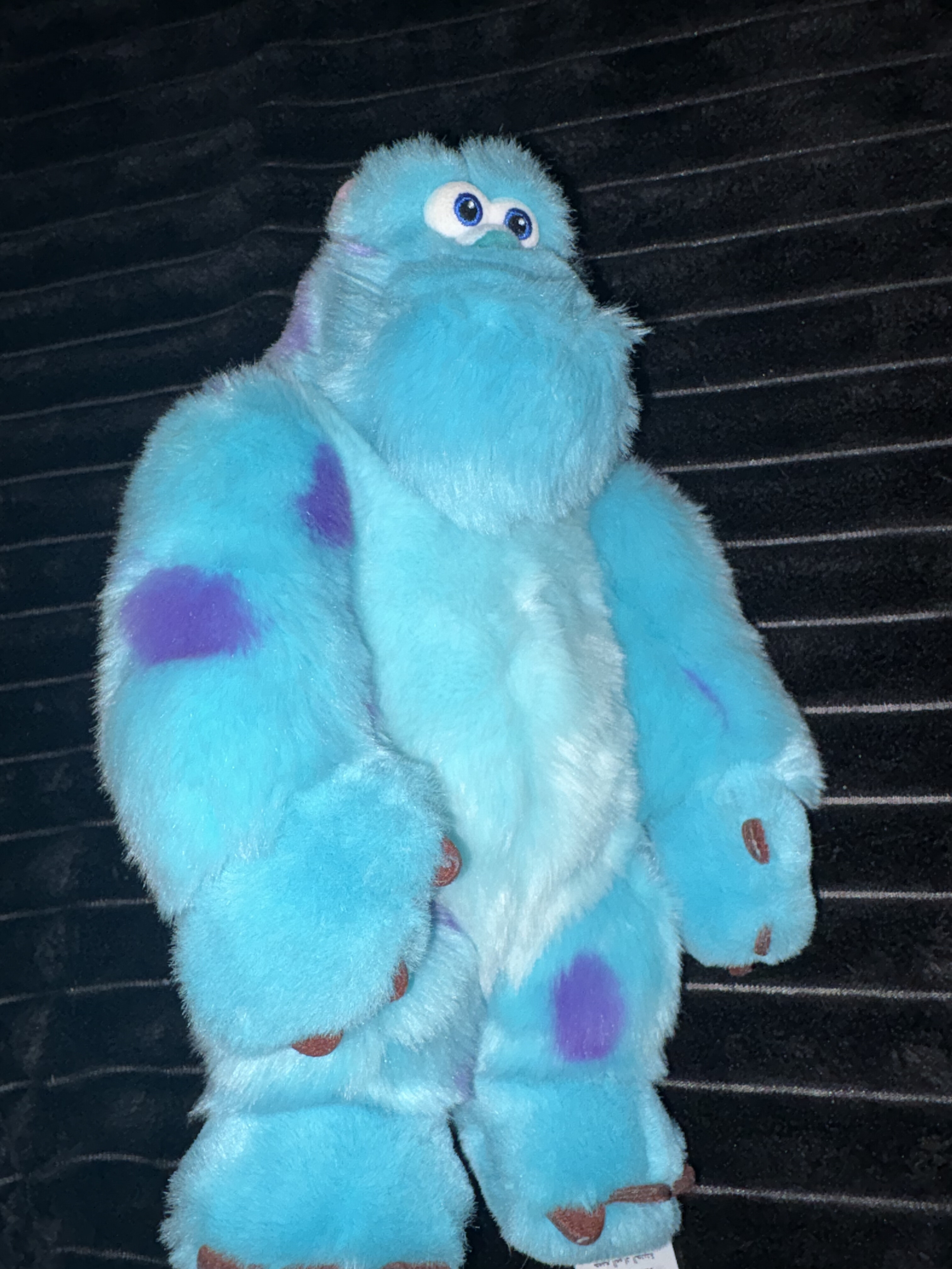 Sully