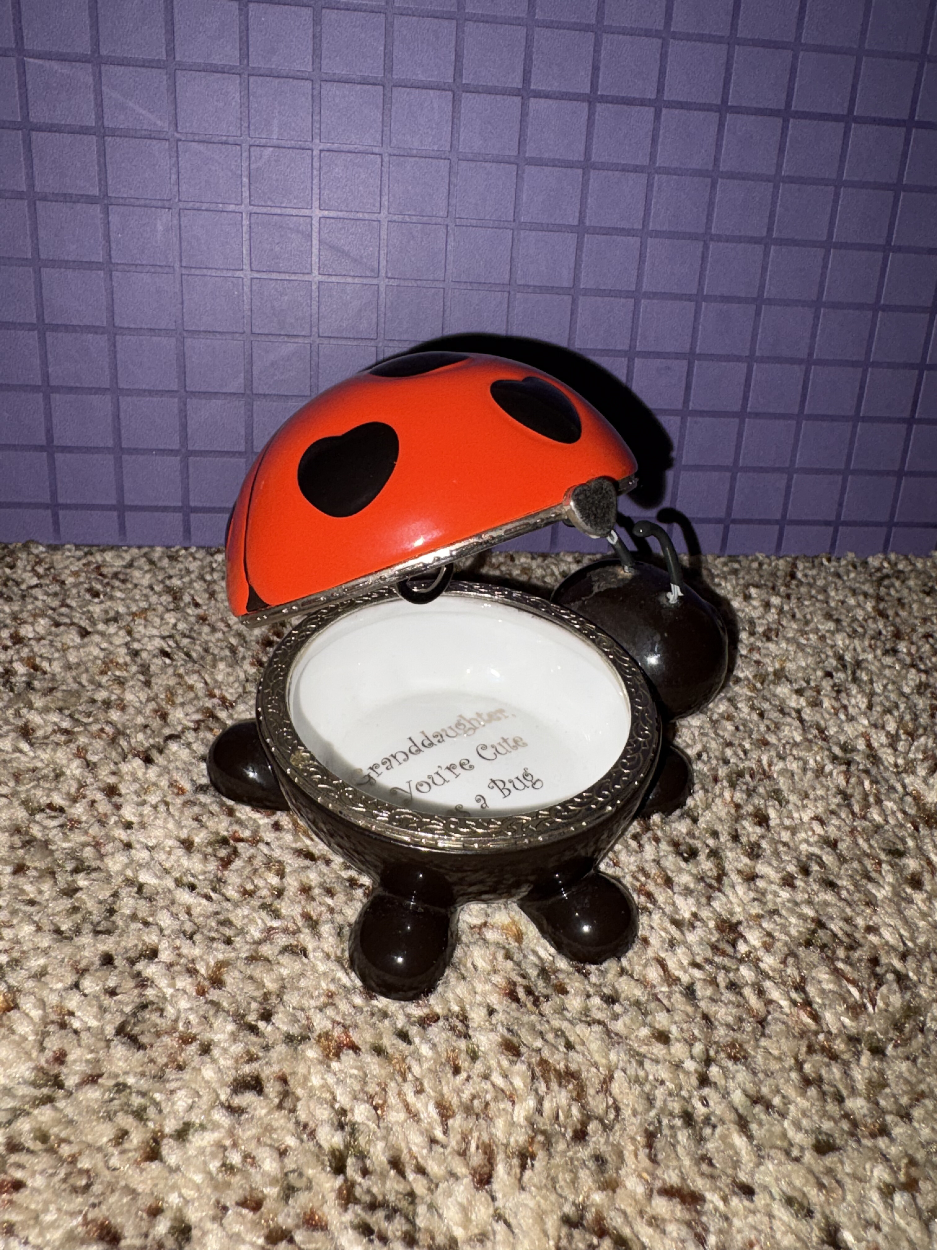 Ladybug Music Box Angle 2