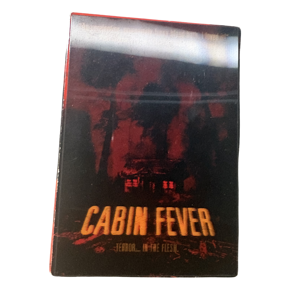 DVD 19 - cabinfever