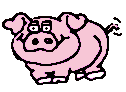 Piggy